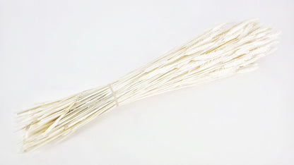 BOTTE DE BLÉ SÉCHÉ - 65cm / BLANC