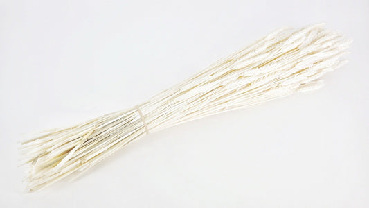 BOTTE DE BLÉ SÉCHÉ - 65cm / BLANC