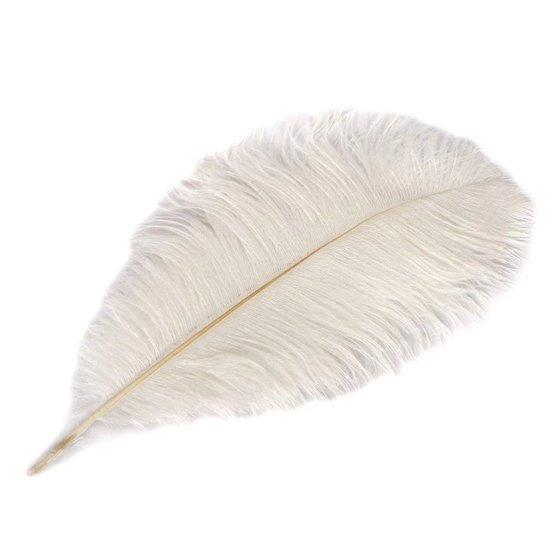 plume d'autruche - 40-50cm / blanc
