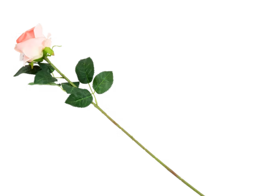 tige de rose - 30cm / peche - rose