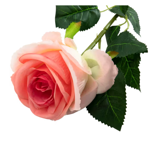 tige de rose - 30cm / peche - rose